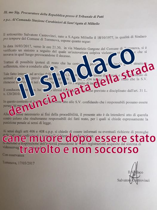 CANE UCCISO – Il sindaco di Torrenova denuncia il pirata della strada