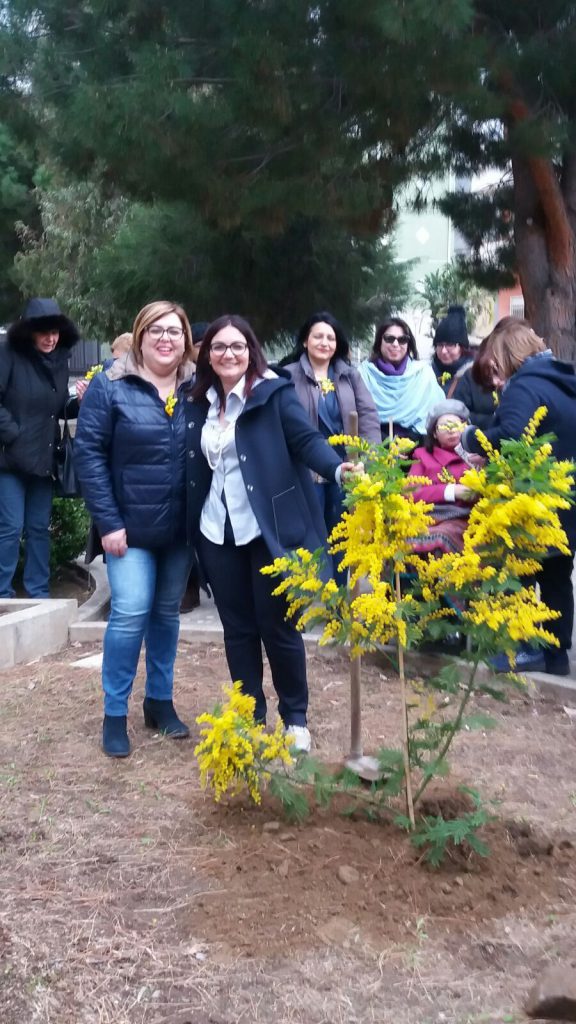BROLO – 8 marzo, un albero di Mimosa per la giornata della Donna