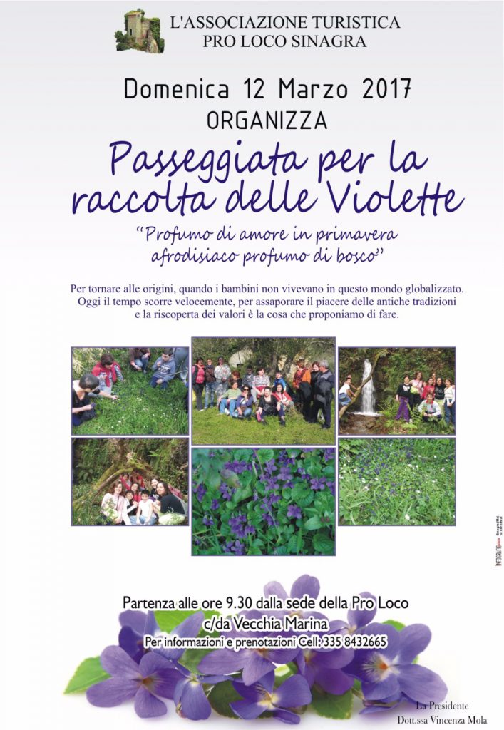 SINAGRA – La raccolta delle violette