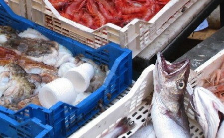 SANT’AGATA MILITELLO – Controlli sulla filiera della pesca
