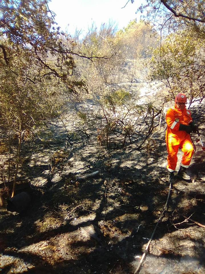 ROGHI FUORI PORTA – La Protezione Civile di Brolo interviene a Piraino