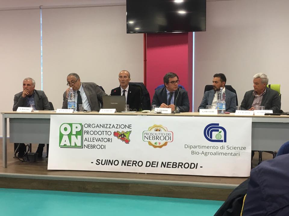 GALATI MAMERTINO – Suino nero, collaborazione scientifica tra CNR e OPAN