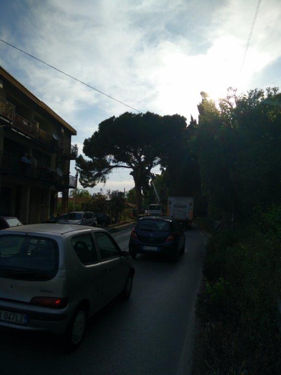 EMERGENZE – Rimosso all’alba un ramo pericoloso sulla Statale, a Brolo