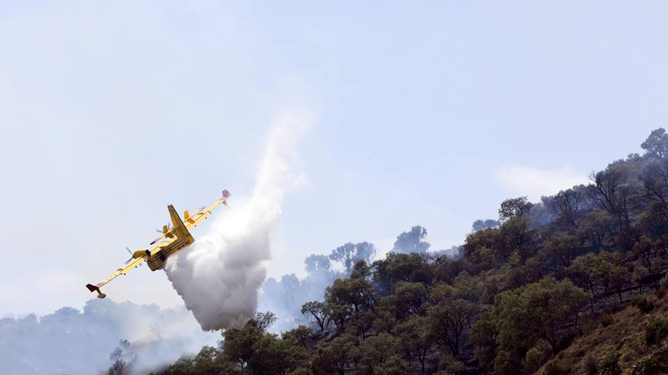 INCENDI – Canadair su Brolo