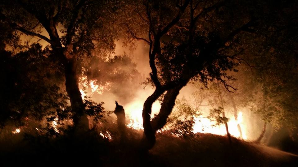 ROGHI – Arde la collina di Grenne. Ancora in azione la Protezione Civile di Brolo