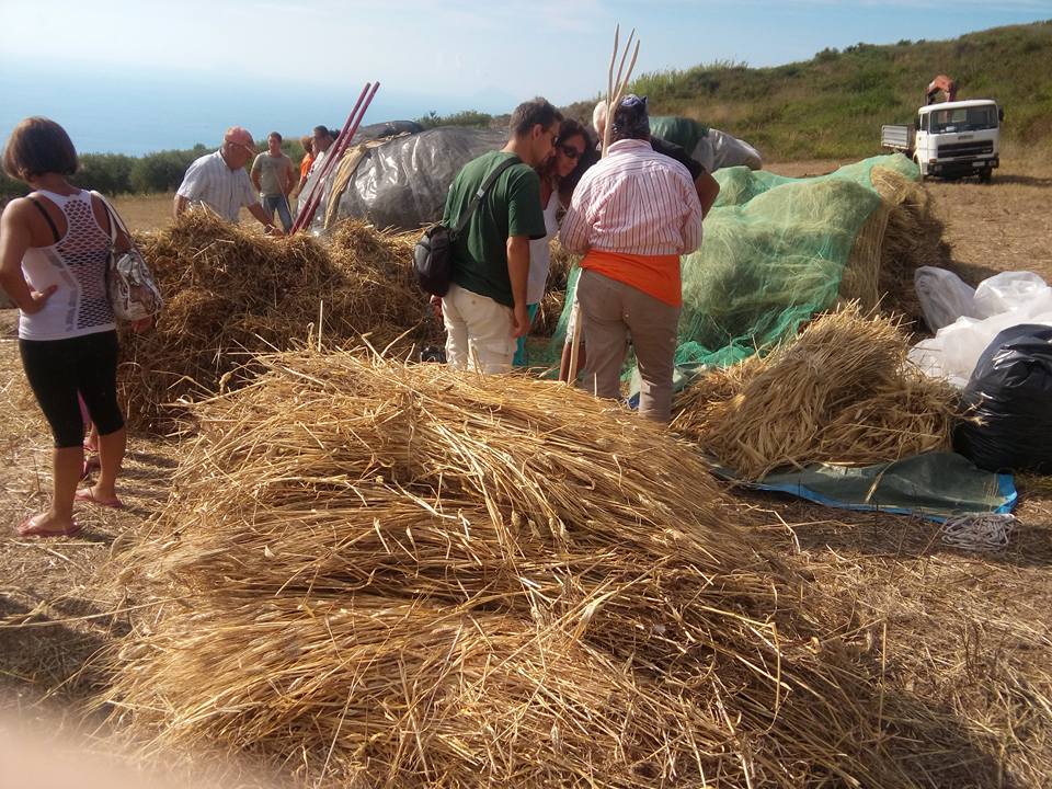 GIOIOSA MAREA – Trebbiatura a Gioiosa Guardia