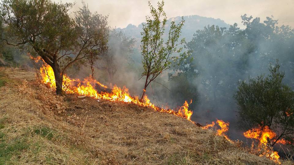 IRENE RICCIARDELLO – Devo dire ancora grazie alla Protezione Civile di Brolo