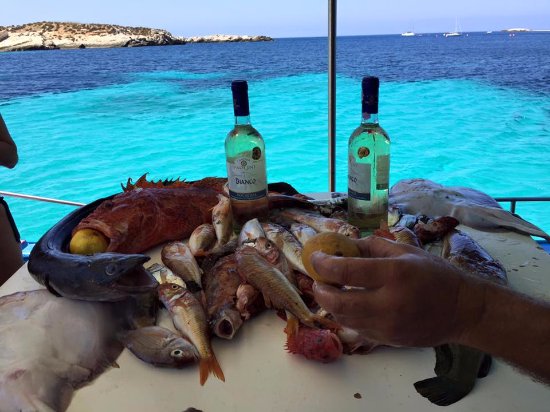 PESCA – Vuoi ampliare la tua attività grazie al turismo, alla pesca sportiva? Vuoi aprire un ristorante? Devi fare investimenti a bordo?