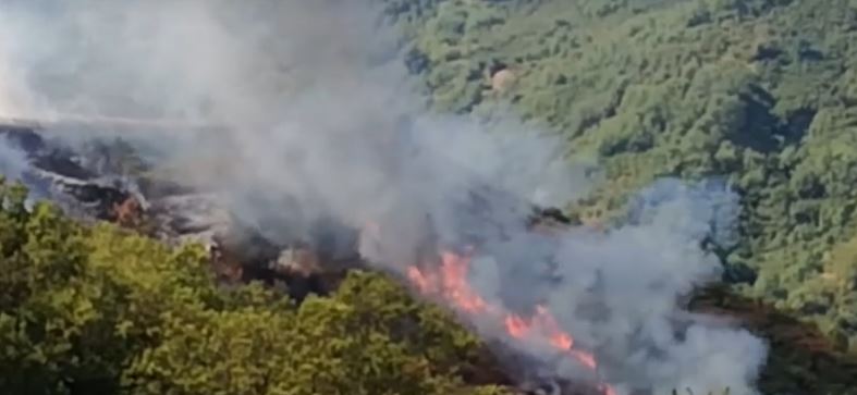 FUOCHI – Oggi tocca alla pineta Rocca Saracena