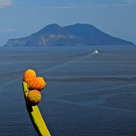 PUNTI DI PARTENZA – La #Sicilia fuori dal caos senza scorciatoie e demagogia