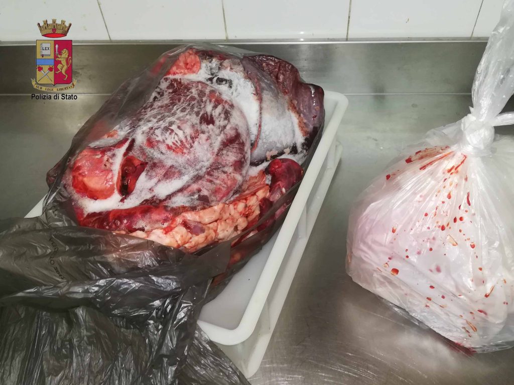 SALUTE PUBBLICA – Sequestrata carne congelata e conservata in sacchetti dell’immondizia