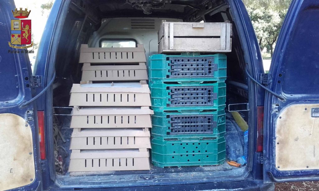 FURNARI – 900 volatili stipati su furgone non idoneo