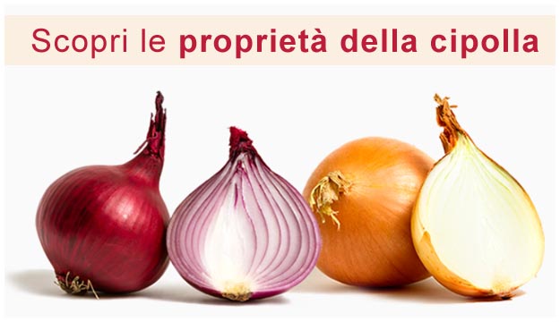 BENESSERE – Cipolla: le fantastiche proprietà medicinali e come usarla per esaltarne i benefici