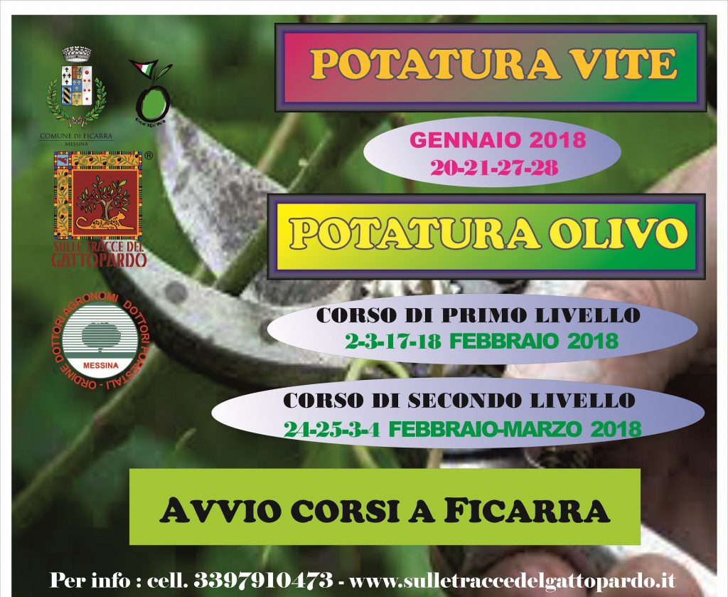 FICARRA – Al via i corsi di potatura della vite e dell’olivo