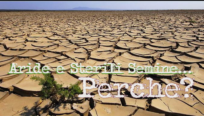FACEBOOK, RICORDI & BROLO – Quando si scopre che sono state aride semine