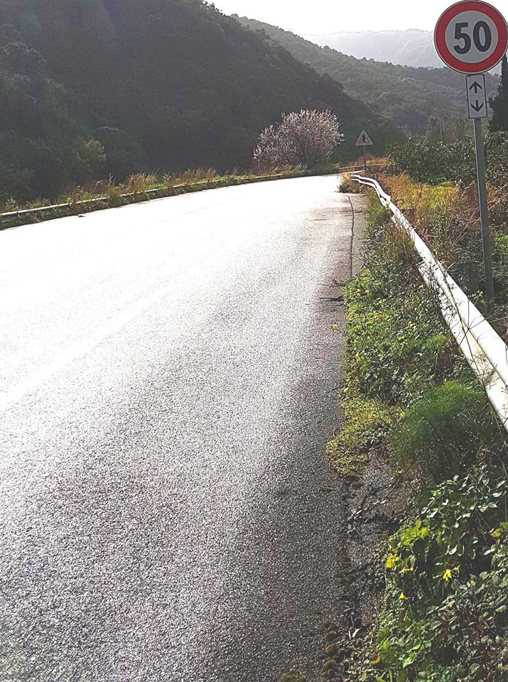 SINAGRA – Sulla “Scorrimento” multe senza dignità