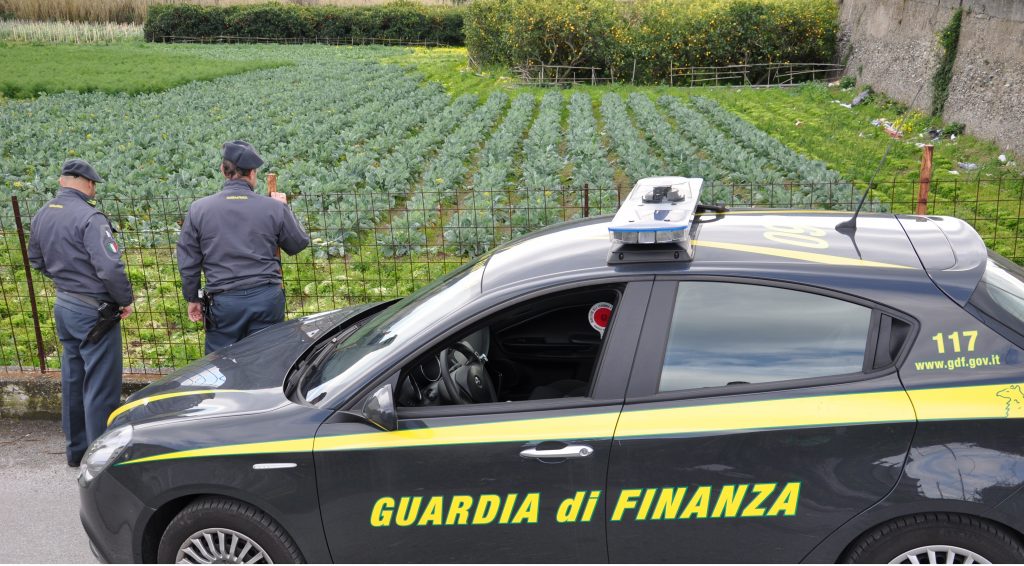 BARCELLONA P.G. – Illecita commercializzazione di quasi 500 tonnellate di falsi prodotti BIO