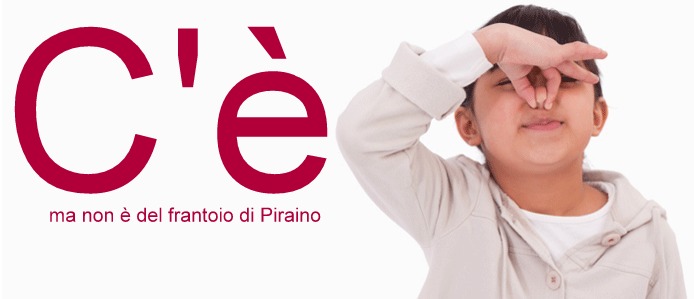 FIUMARA DI PIRAINO – Ad ammorbare l’aria non è il frantoio locale… parola di Sindaco!