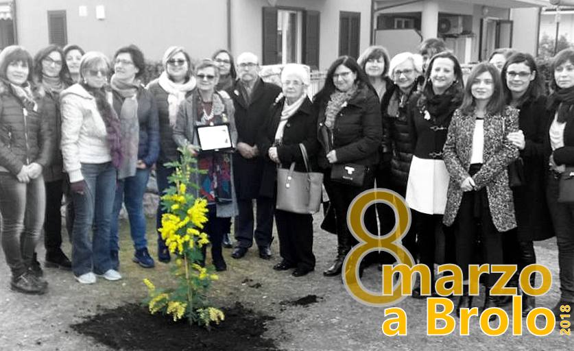 SIMBOLI & MIMOSE A BROLO – “Regalare radici ha un significato che va oltre la giornata”