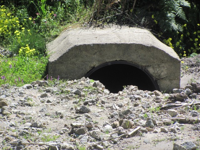 MESSINA & RISCHIO IDROGEOLOGICO – Alla Cittadella dell’Annunziata non si capisce un tubo…