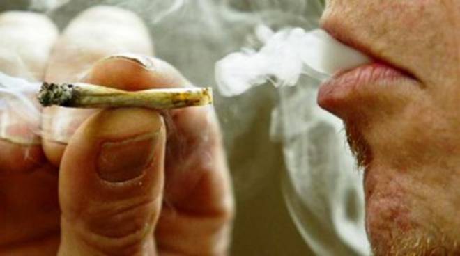 DROGA A BROLO – Assolti perchè il fatto non sussiste