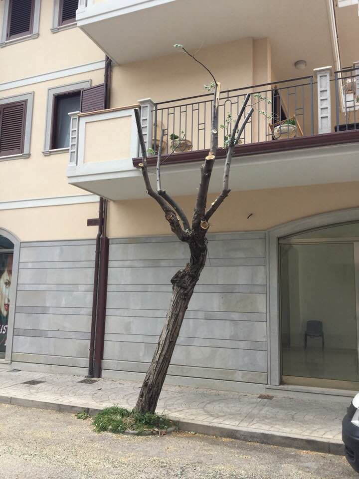 DIFESE NON DI UFFICIO – Il Sindaco di Brolo: Posso garantire che dentro gli uffici comunali non ci sono “cretini”