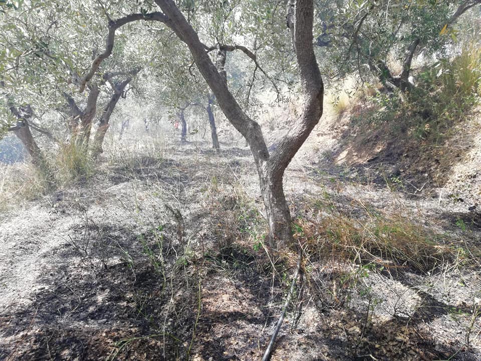 BROLO – Primi roghi. Il numero da chiamare in caso di emergenza per essere subito in contatto con la Protezione Civile è: …340 0858855