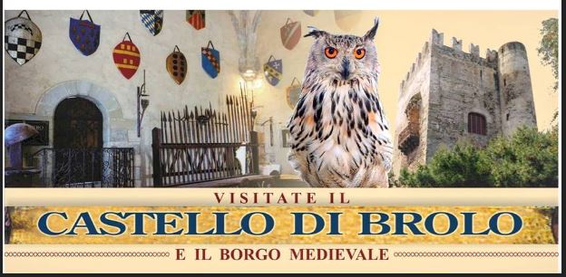 I FALCHI & IL CASTELLO – Ogni venerdì, al crepuscolo, al Castello di Brolo fino a fine agosto