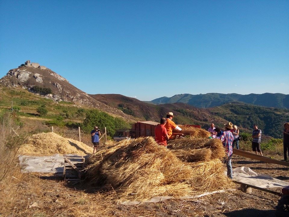 GIOIOSA MAREA  – “I Sentieri del Grano” la trebbiatura