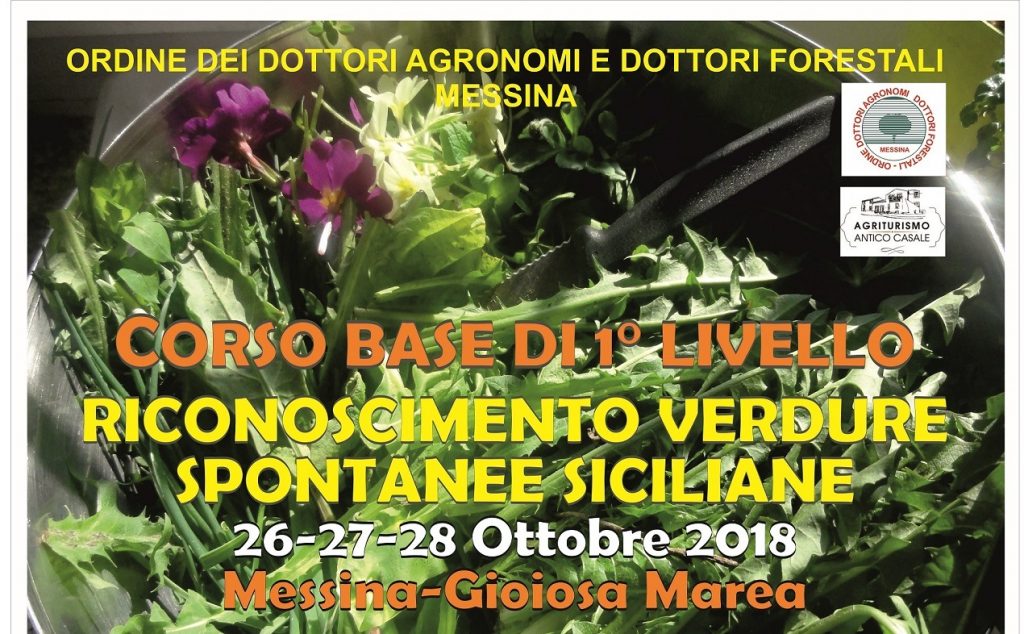 GIOIOSA MAREA – Corso base “Riconoscimento verdure spontanee siciliane”