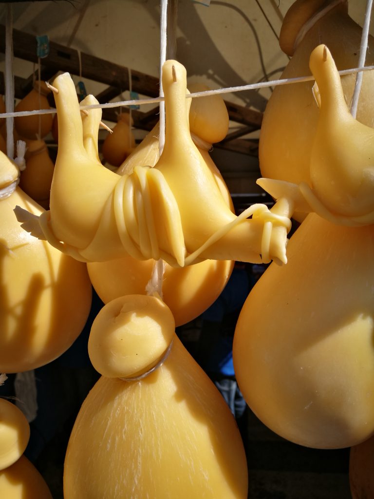 FLORESTA & OTTOBRANDO 2025 – I “cavallucci di provola” di Floresta: simboli autentici di gusto, arte e identità