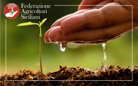 FAS – 1° Assemblea Regionale FAS, giovedì, 29 novembre, a Villa Piccolo di Capo d’Orlando