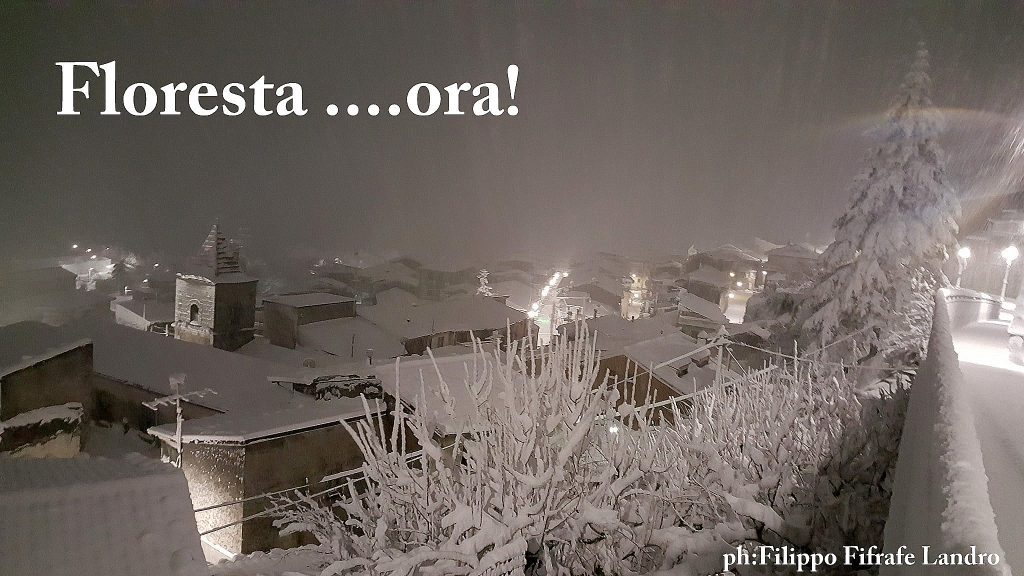FLORESTA ORA – Una nevicata da “cartolina”