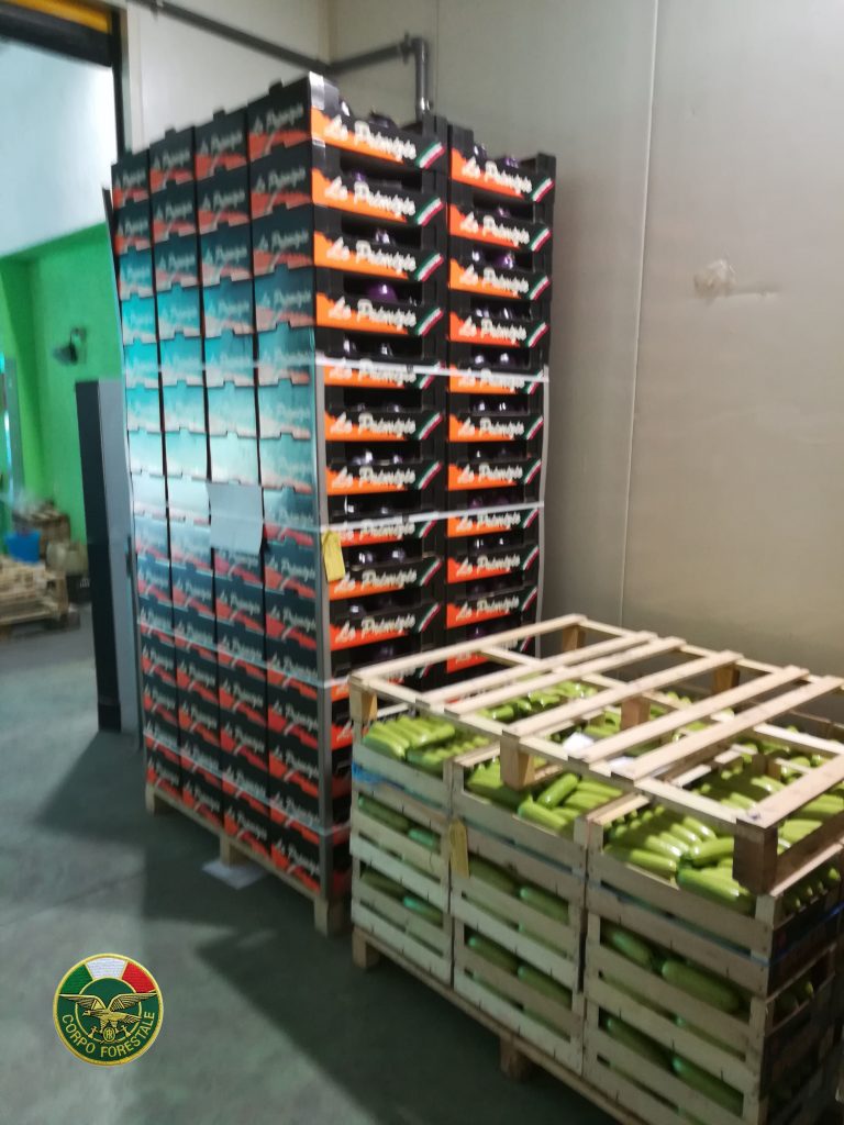 ORTOFRUTTA – Verifiche al mercato ortofrutticolo di Messina, sequestrati 3.100 kg di prodotti