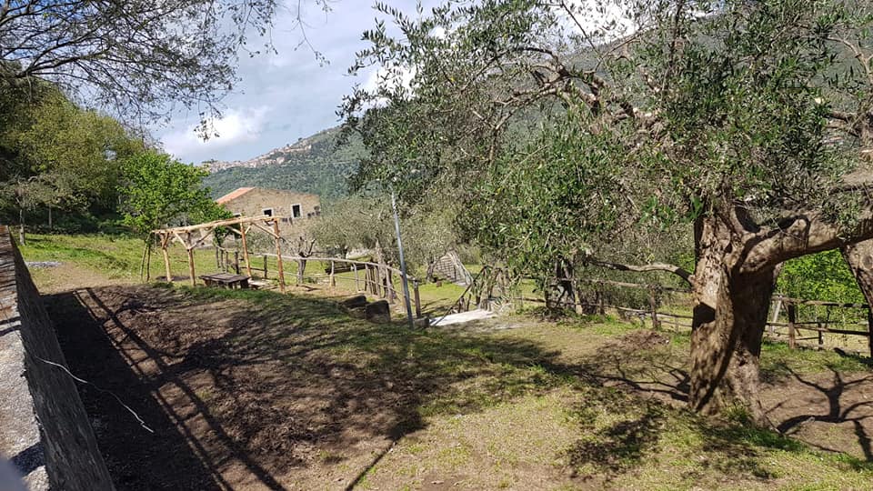 SINAGRA – Riaperto il parco suburbano