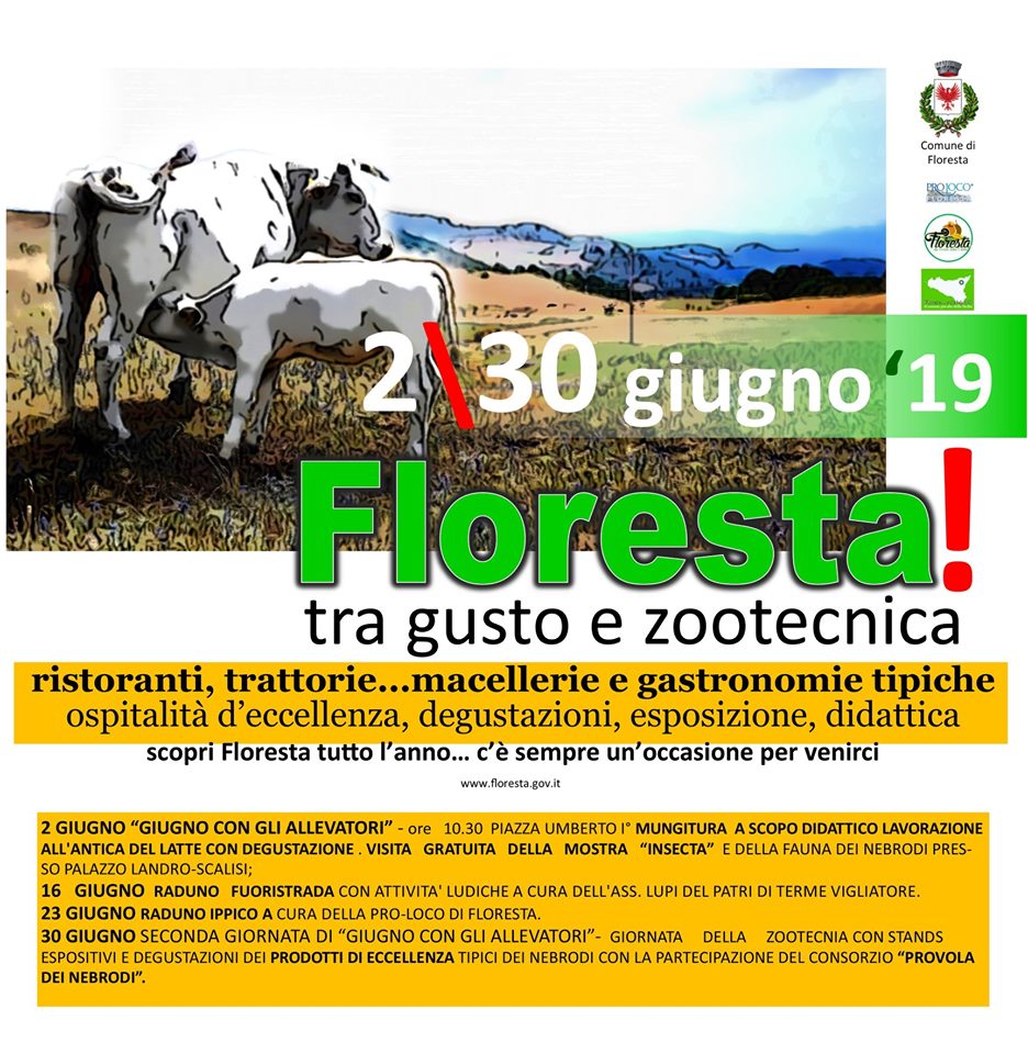 LO SPOT – A Floresta tra zootecnica, cavalli e fuoristrada… giugno ti aspetta