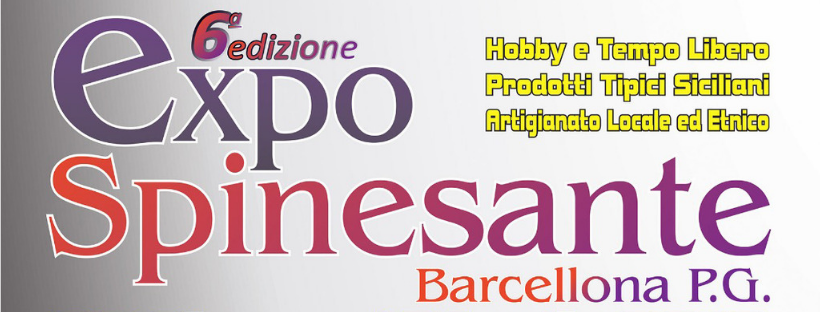 E’ QUI LA FESTA – Da oggi e fino al 7 luglio l’appuntamento è a Spinesante di Barcellona