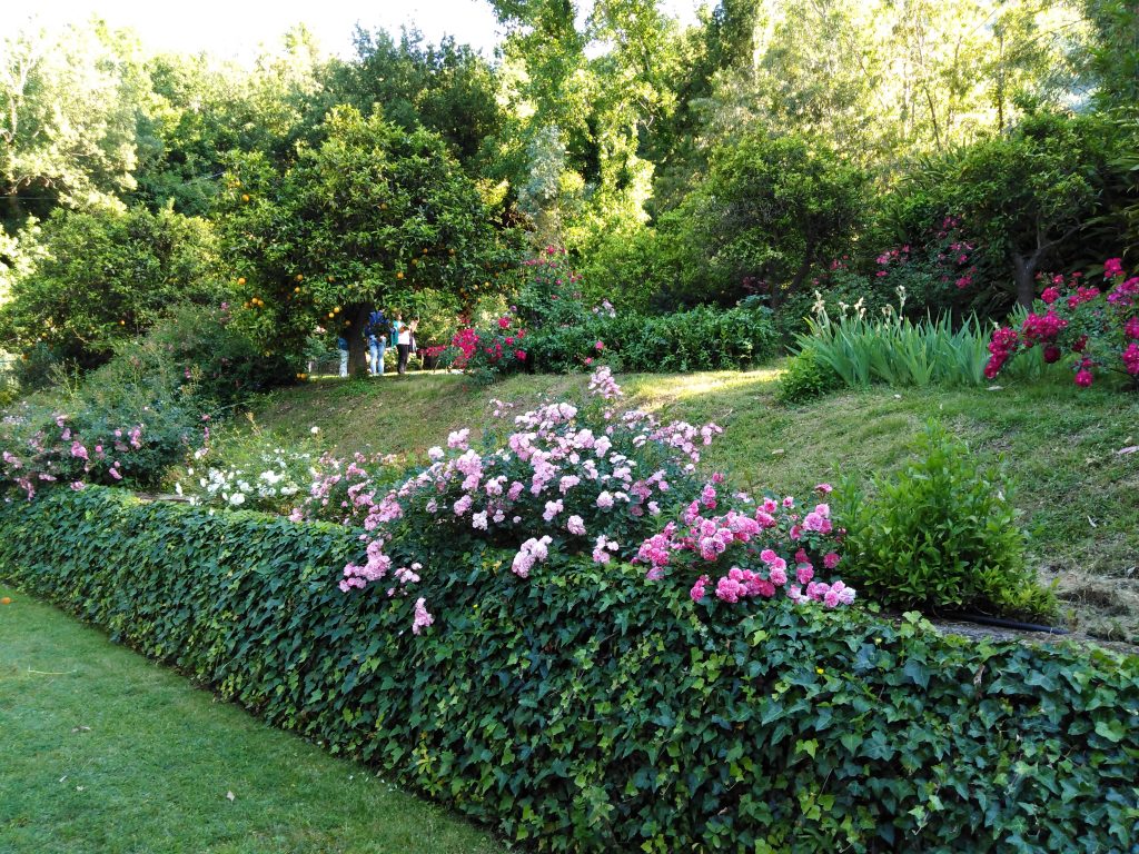 SINAGRA – Alla scoperta del giardino segreto
