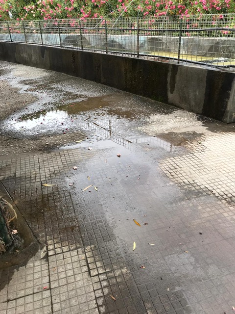 CAPO D’ORLANDO – Urgente pulire Villa Bagnoli