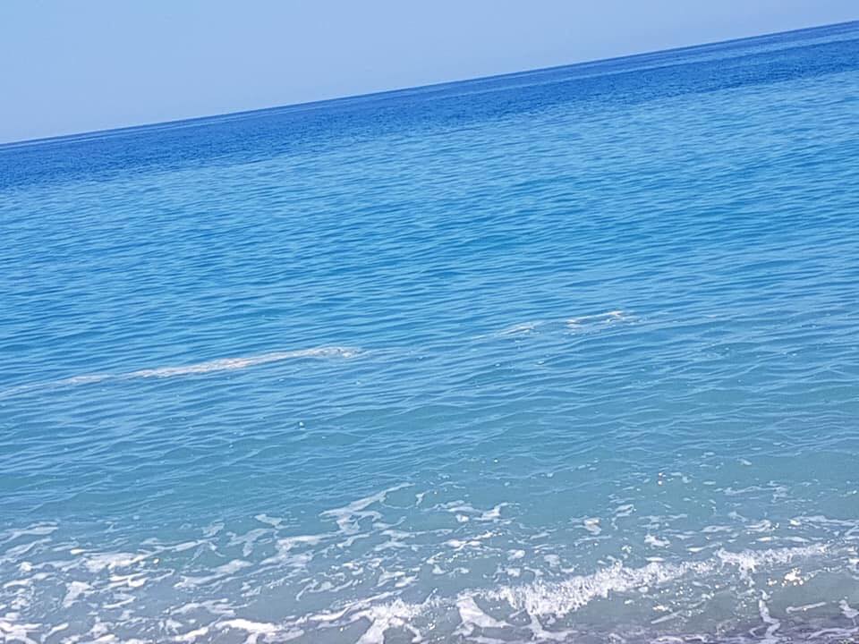 SANT’AGATA MILITELLO – Chiazze in mare, Mancuso si appella alle autorità