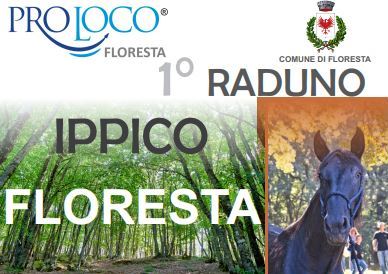 RADUNI IPPICI – A Floresta il 23 giugno tra escursioni, passeggiate e concorso equestre