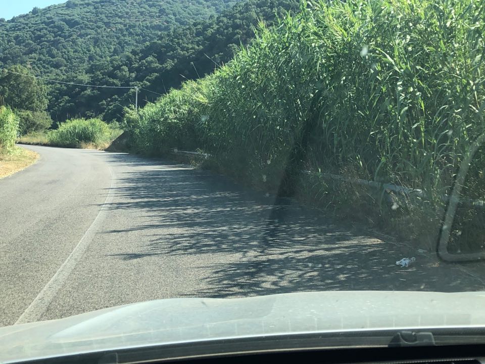 RISPETTO – Lo chiedono a Sindaci e Provincia gli automobilisti che percorrono la “provinciale” da Ponte Naso a Sinagra