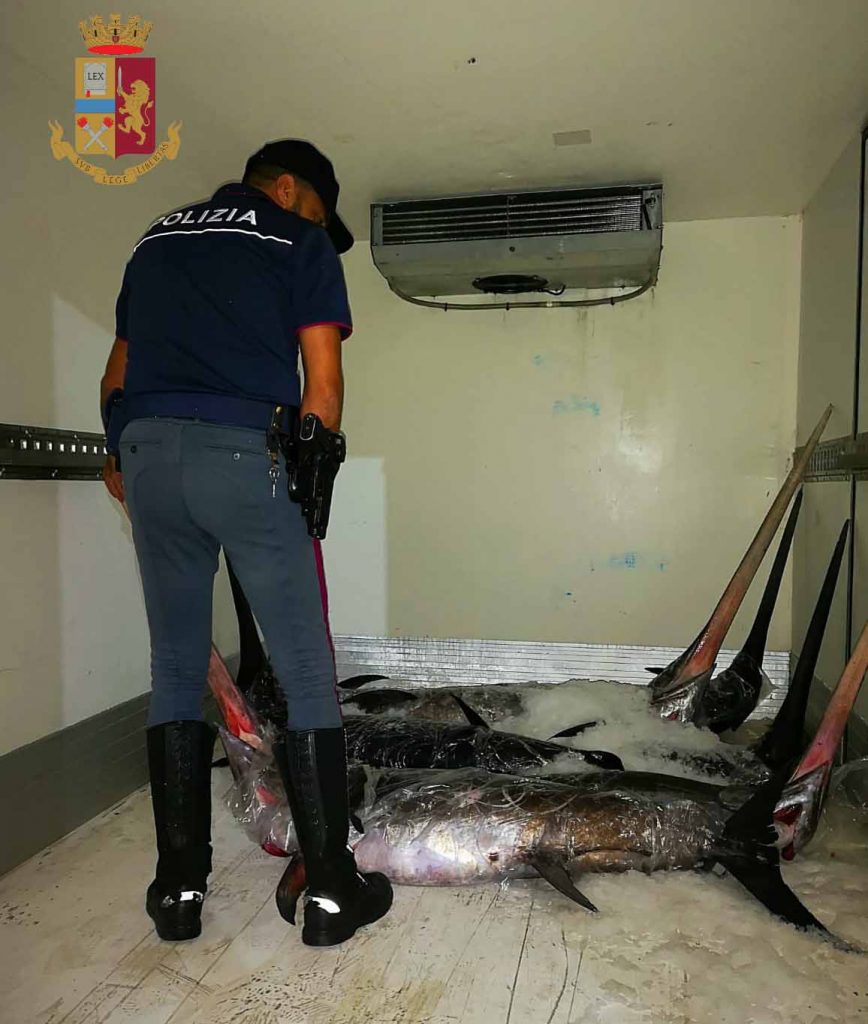 BARCELLONA P. G. – Sequestrati 950 Kg di pesce in cattivo stato di conservazione