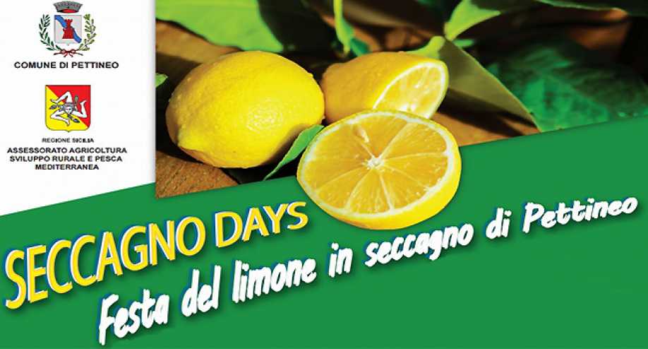 PETTINEO – Sua Maestà il il limone “in Seccagno”