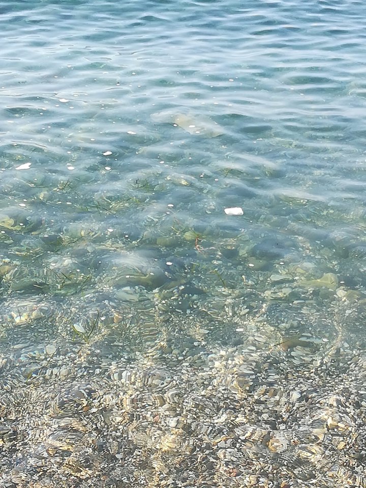 DEPURATORE CONSORTILE ECO3 – Tutto OK, ma la maleducazione sta a mille e le acque su tutta la costa sono insozzate di tutto da “bollino nero”