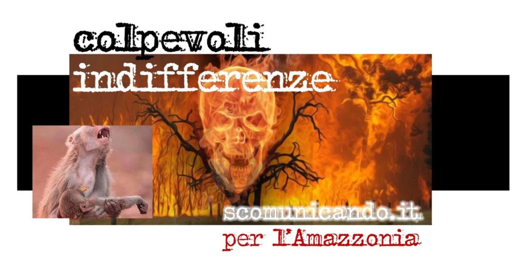 LA COPERTINA – Brucia l’Amazzonia e con lei ossigeno e biodiversità nell’indifferenza di tanti