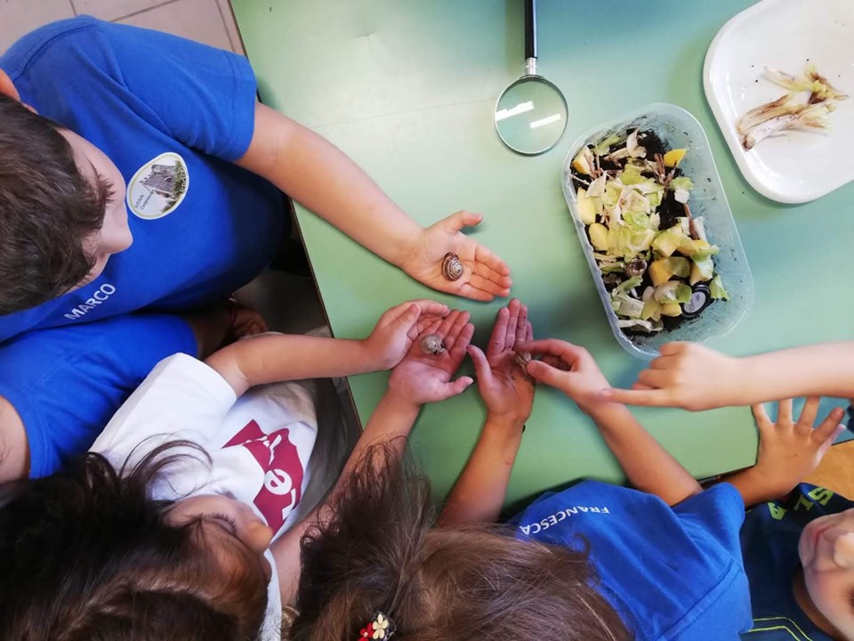 BROLO – “La scuola delle lumache”. Gli apprezzamenti del dirigente alla docente 