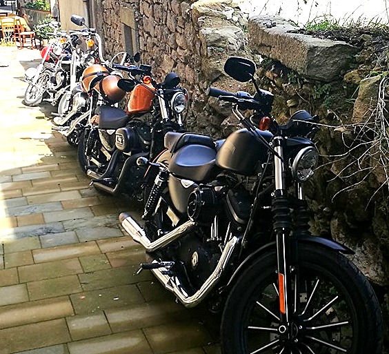 HARLEY A OTTOBRANDO – Immaginate un cielo limpido e assolato sopra di voi, e tante cose buona da gustare