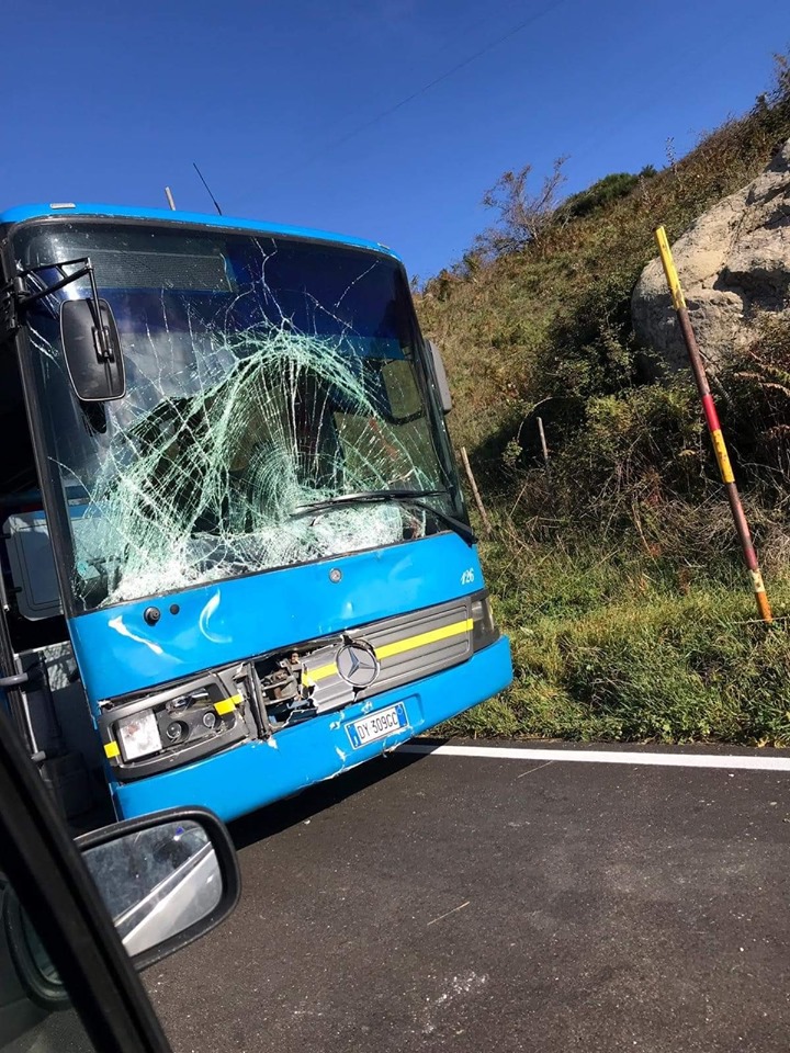 A VOLTE CAPITA – Mucca contro bus… a Favoscuro