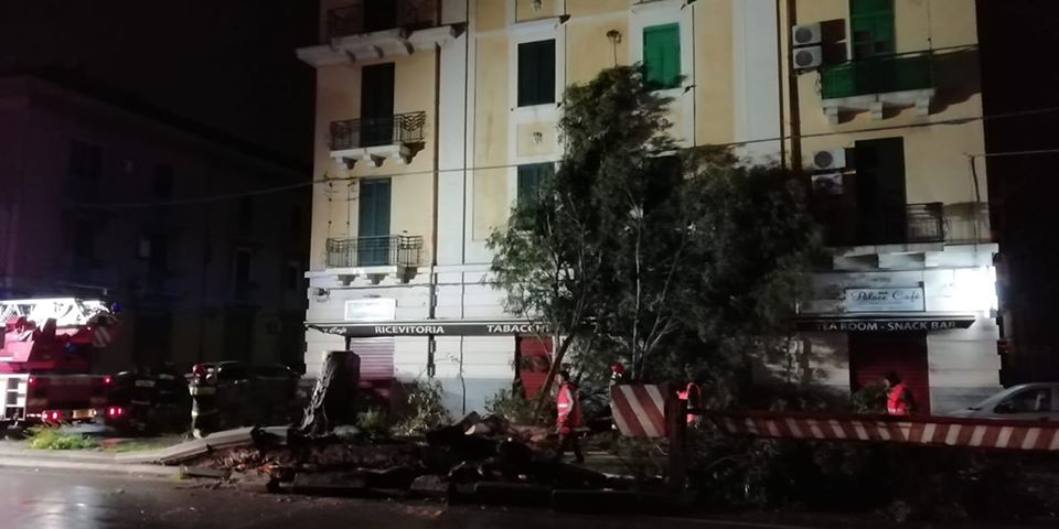 EMERGENZA VENTO – Anche ieri in bell’evidenza la Protezione Civile di Brolo. Le foto di quel che è successo a Messina